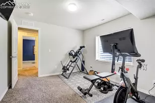 780 Tailings Dr, Monument, CO 80132 - Photo 42