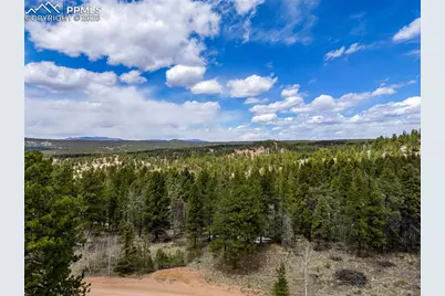 451 Chipeta Creek Trail, Florissant, CO 80816 - Photo 2