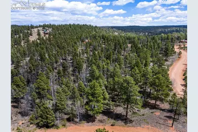 451 Chipeta Creek Trail, Florissant, CO 80816 - Photo 4
