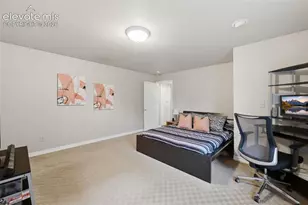 249 Homeland Ct, Colorado Springs, CO 80921 - Photo 32