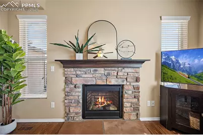 9155 Selkirk Place, Colorado Springs, CO 80924 - Photo 10