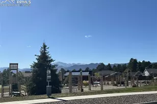 724 Sage Forest Ln, Monument, CO 80132 - Photo 26