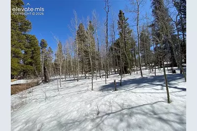 2202 High Creek Road, Fairplay, CO 80440 - Photo 1