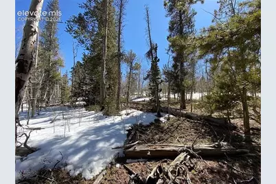 2202 High Creek Road, Fairplay, CO 80440 - Photo 4