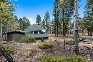 776 Jolly Rogue Dr, Divide, CO 80814 - Photo 6