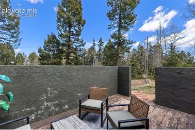 776 Jolly Rogue Drive, Divide, CO 80814 - Photo 36
