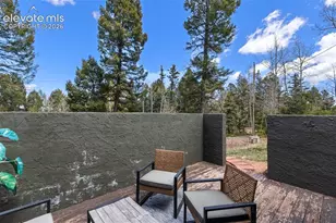 776 Jolly Rogue Dr, Divide, CO 80814 - Photo 36