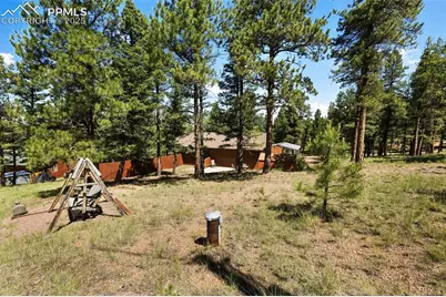 234 Wasatch Lane, Florissant, CO 80816 - Photo 4