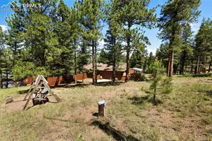 234 Wasatch Ln, Florissant, CO 80816 - Photo 4