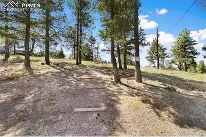 234 Wasatch Lane, Florissant, CO 80816 - Photo 38