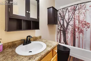 234 Wasatch Ln, Florissant, CO 80816 - Photo 22