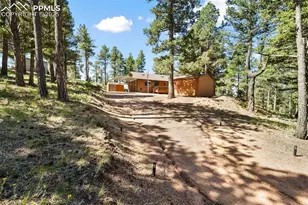 234 Wasatch Ln, Florissant, CO 80816 - Photo 4