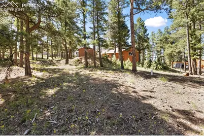 234 Wasatch Lane, Florissant, CO 80816 - Photo 28