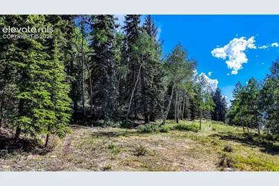 1444 Anges Drive, Cripple Creek, CO 80813 - Photo 18