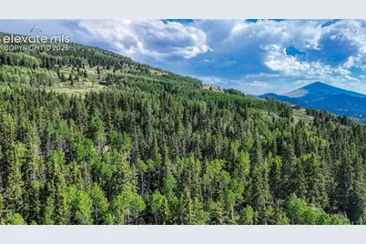 1444 Anges Drive, Cripple Creek, CO 80813 - Photo 12
