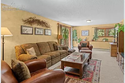 370 High View Circle, Woodland Park, CO 80863 - Photo 28