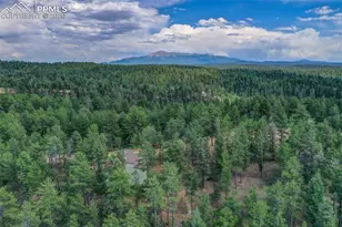 449 Woody Creek Rd, Florissant, CO 80816 - Photo 1