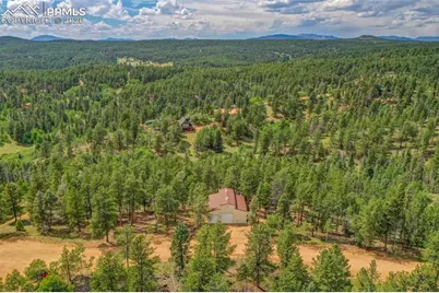 449 Woody Creek Road, Florissant, CO 80816 - Photo 4