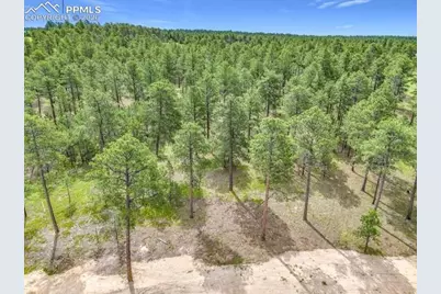14671 Allen Ranch Road, Colorado Springs, CO 80908 - Photo 2
