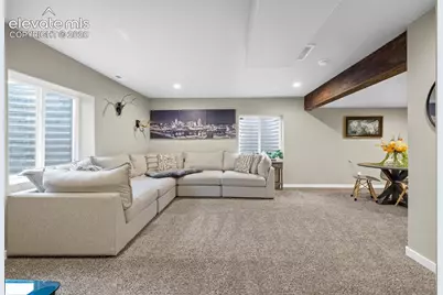 7815 Dry Willow Way, Colorado Springs, CO 80908 - Photo 30