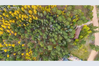 219 Pennsylvania Avenue, Woodland Park, CO 80863 - Photo 4