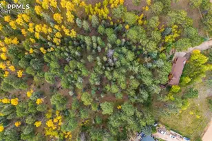 219 Pennsylvania Ave, Woodland Park, CO 80863 - Photo 4