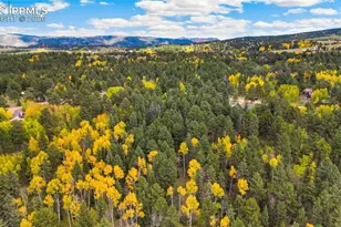 219 Pennsylvania Ave, Woodland Park, CO 80863 - Photo 34