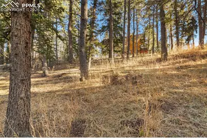 219 Pennsylvania Avenue, Woodland Park, CO 80863 - Photo 30