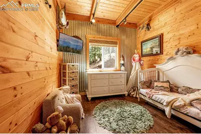 325 Willow Road, Divide, CO 80814 - Photo 12