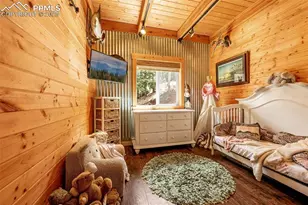 325 Willow Rd, Divide, CO 80814 - Photo 12