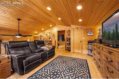 325 Willow Road, Divide, CO 80814 - Photo 16