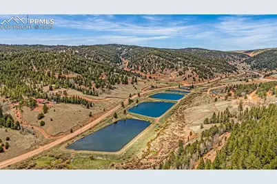 325 Willow Road, Divide, CO 80814 - Photo 32