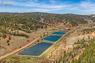 325 Willow Rd, Divide, CO 80814 - Photo 32