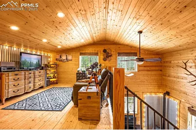 325 Willow Road, Divide, CO 80814 - Photo 18