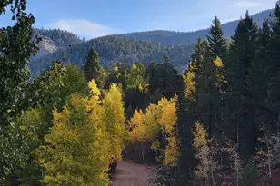 325 Willow Rd, Divide, CO 80814 - Photo 34