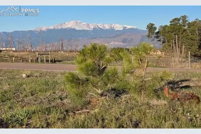 7830 Fairytale Heights, Colorado Springs, CO 80908 - Photo 16