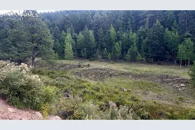 278 Penrose Circle, Cripple Creek, CO 80816 - Photo 8