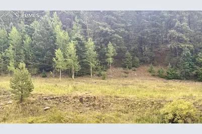 278 Penrose Circle, Cripple Creek, CO 80816 - Photo 2