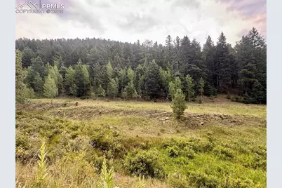 278 Penrose Circle, Cripple Creek, CO 80816 - Photo 4