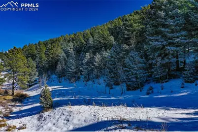 278 Penrose Circle, Cripple Creek, CO 80816 - Photo 10