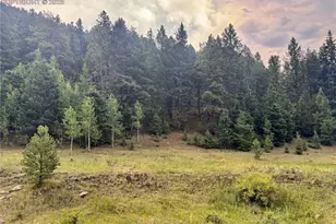 278 Penrose Cir, Cripple Creek, CO 80816 - Photo 1