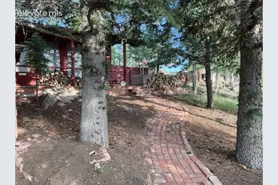 30 Brook Drive, Lake George, CO 80827 - Photo 4