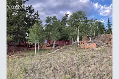 30 Brook Drive, Lake George, CO 80827 - Photo 12