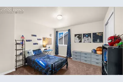 8114 Pinfeather Drive, Fountain, CO 80817 - Photo 22