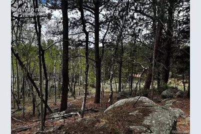 210 Crescent Drive, Florissant, CO 80816 - Photo 2