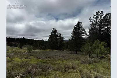210 Crescent Drive, Florissant, CO 80816 - Photo 8