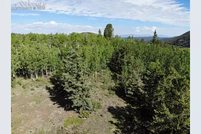 12775 S Highway 67, Cripple Creek, CO 80813 - Photo 4