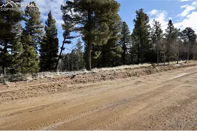 278 Cherry Lake Drive, Divide, CO 80814 - Photo 6