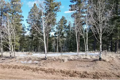 278 Cherry Lake Drive, Divide, CO 80814 - Photo 2