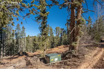 565 Fairview Drive, Cripple Creek, CO 80813 - Photo 4